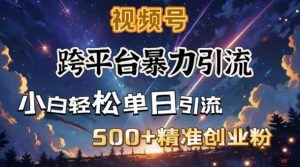 跨平台暴力引流，私域完美闭环，日引500+精准创业粉-创纪