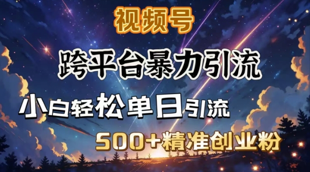 跨平台暴力引流，私域完美闭环，日引500+精准创业粉-创纪