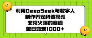 利用DeepSeek与数字人制作养宠科普视频，非常火爆的赛道，单日变现多张-创纪