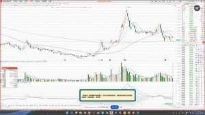 大师兄·鹿鼎山系列内部课程(更新2025年1月)-创纪