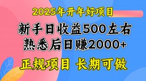 2025开年好项目,单号日收益2000左右-创纪