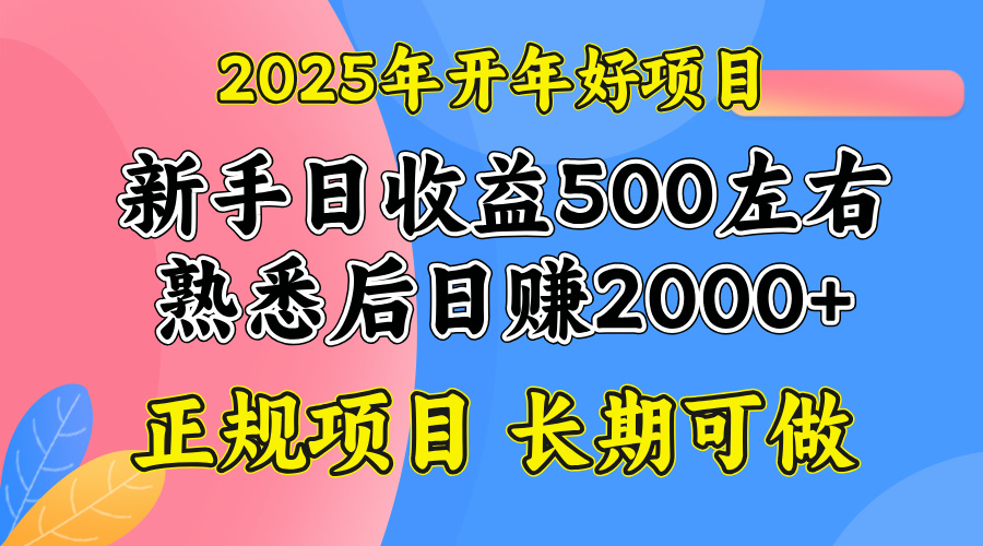 2025开年好项目,单号日收益2000左右-创纪