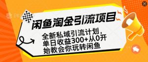闲鱼淘金私域引流计划，从0开始玩转闲鱼，副业也可以挣到全职的工资-创纪