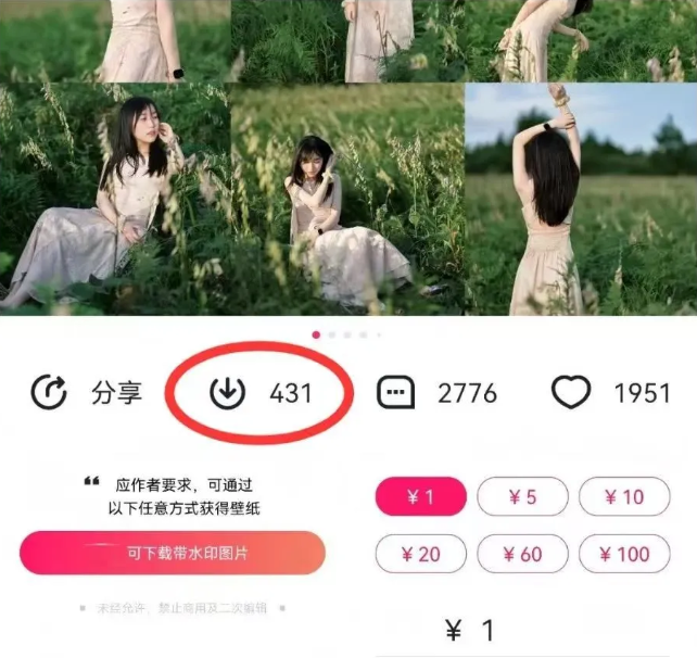 最新图虫搬运项目,收益无上限,利用AI小白也可日赚500+-创纪