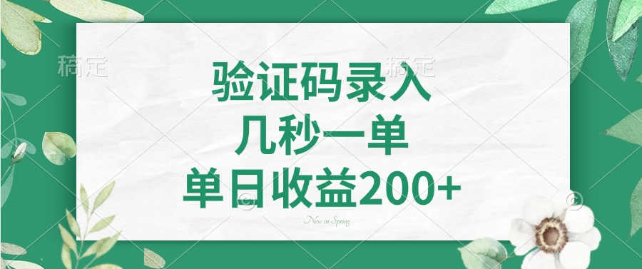 验证码录入，几秒一单，单日收益200+-创纪