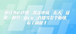 小红书必修课,覆盖电商,无人,获客,种草,mcn,直播等多个板块,看了就能干-创纪