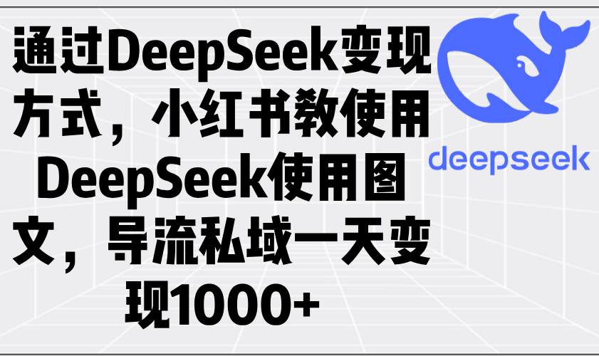 通过DeepSeek变现方式，小红书教使用DeepSeek图文，导流私域一天变现1000+-创纪