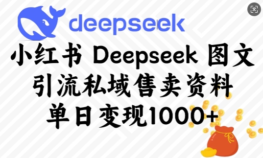 小红书Deepseek图文引流私域售卖资料,单日变现多张-创纪