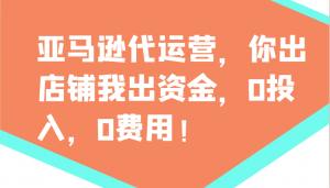 亚马逊代运营，你出店铺我出资金，0投入，0费用，无责任每天300分红，赢亏我承担-创纪