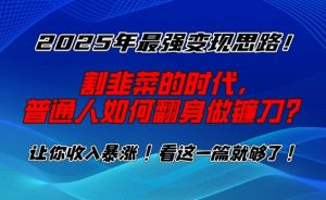 2025年最强变现思路，割韭菜的时代， 普通人如何翻身做镰刀？【揭秘】-创纪