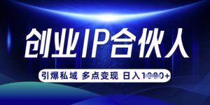云帆·创业ip合伙人打造3.0，从0到1教你做网创，实现月入过W-创纪