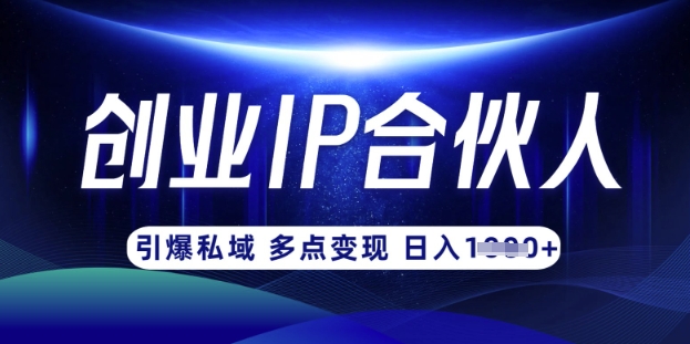 云帆·创业ip合伙人打造3.0，从0到1教你做网创，实现月入过W-创纪