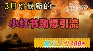 小红书超劲爆引流手段，图文日引300+轻松变现1W-创纪