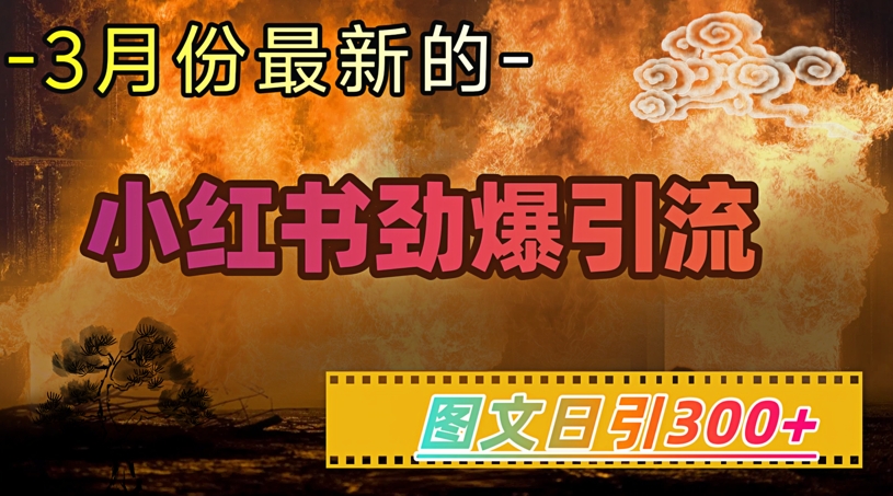 小红书超劲爆引流手段，图文日引300+轻松变现1W-创纪
