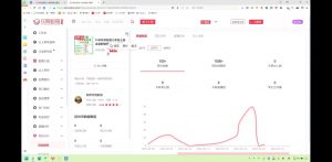 2025小红书虚拟电商实战课-创纪