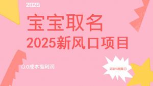 2025新风口项目宝宝取名，0成本高利润，附保姆级教程，月入过万不是梦-创纪