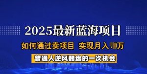 2025蓝海项目，普通人如何通过卖项目，实现月入过W，全过程【揭秘】-创纪