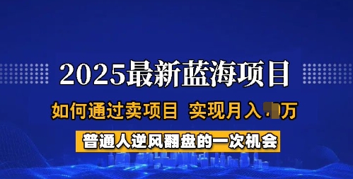 2025蓝海项目，普通人如何通过卖项目，实现月入过W，全过程【揭秘】-创纪