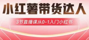 小红薯达人带货启航计划，3节直播课从0-1入门小红书-创纪