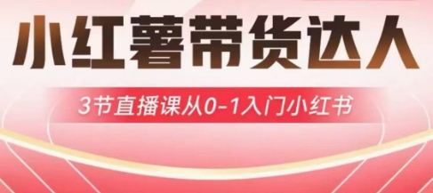 小红薯达人带货启航计划，3节直播课从0-1入门小红书-创纪