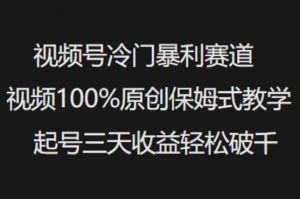 视频号冷门暴利赛道视频100%原创保姆式教学起号三天收益轻松破千-创纪