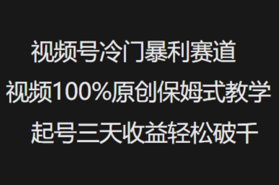 视频号冷门暴利赛道视频100%原创保姆式教学起号三天收益轻松破千-创纪