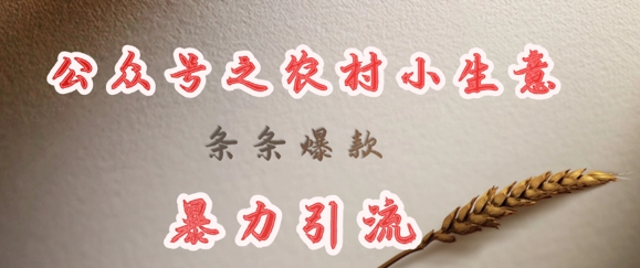 deepseek写农村小项目，条条爆款，暴力引流-创纪