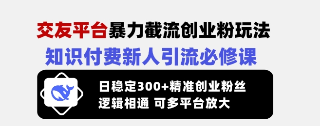 交友平台暴力截流创业粉玩法,知识付费新人引流必修课,日稳定300+精准创业粉丝,逻辑相通可多平台放大-创纪