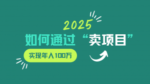 2025年如何通过“卖项目”实现年入100w-创纪
