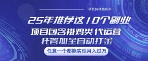 25年推荐这10个副业项目包含褂鸡类、代运营托管类、全自动打金类【揭秘】-创纪