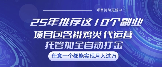 25年推荐这10个副业项目包含褂鸡类、代运营托管类、全自动打金类【揭秘】-创纪