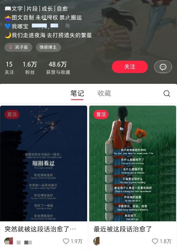 小红书治愈文案图文笔记，零门槛，一分钟制作轻松制作爆款作品月入万元-创纪