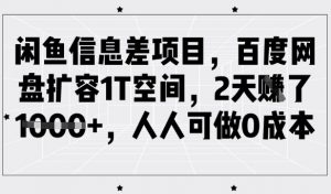 闲鱼信息差项目，百度网盘扩容1T空间，2天收益1k+，人人可做0成本-创纪