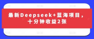 最新Deepseek+蓝海项目，十分钟收益2张-创纪