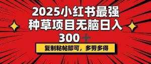 2025小红书最强种草项目，无脑日入300+，复制粘帖即可，多劳多得-创纪