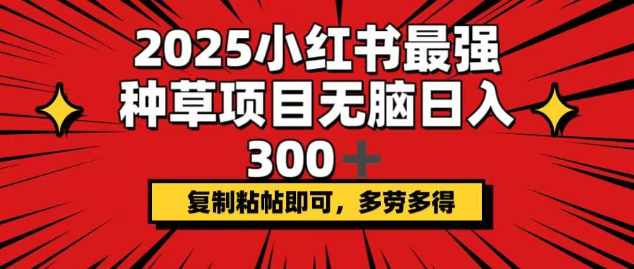 2025小红书最强种草项目，无脑日入300+，复制粘帖即可，多劳多得-创纪