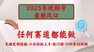 2025年视频号新风口，低门槛只需要无脑执行-创纪