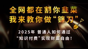 全网都在割你韭菜，我来教你做镰刀,2025普通人如何通过知识付费，实现财F自由【揭秘】-创纪