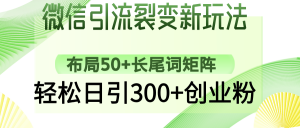微信引流裂变新玩法：布局50+长尾词矩阵，轻松日引300+创业粉-创纪