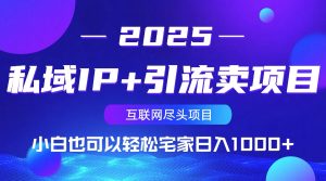 私域IP+引流卖项目，小白也可以做到轻松宅家日入1000+-创纪