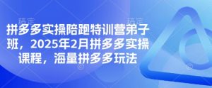 拼多多实操陪跑特训营弟子班，2025年2月拼多多实操课程，海量拼多多玩法-创纪