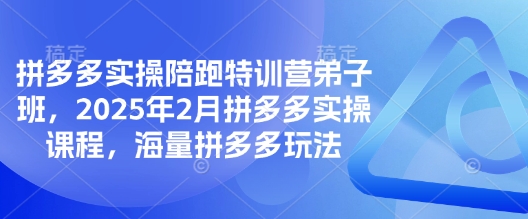 拼多多实操陪跑特训营弟子班,2025年2月拼多多实操课程,海量拼多多玩法-创纪
