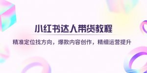 小红书达人带货教程：精准定位找方向，爆款内容创作，精细运营提升-创纪