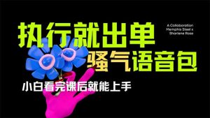 爆火全网的开车导航骚气语音包,只要执行就出单，小白看完课程就能实操...-创纪