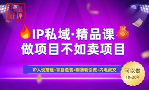 2025年“IP私域·密训精品课”，日赚3000+小白避坑年赚百万，暴力引流...-创纪