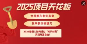 2025项目天花板普通人如何通过知识付费，实现财F自由【揭秘】-创纪