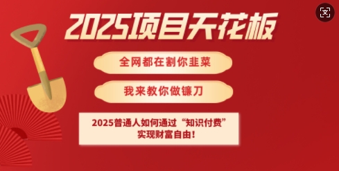 2025项目天花板普通人如何通过知识付费，实现财F自由【揭秘】-创纪