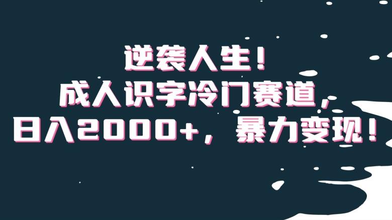 逆袭人生！成人识字冷门赛道，日入2000+，暴力变现！【揭秘】-创纪