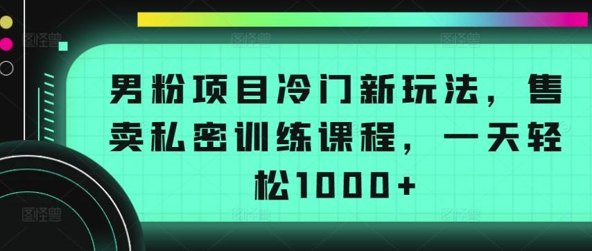 男粉项目冷门新玩法，售卖私密训练课程，一天轻松1000+【揭秘】-创纪