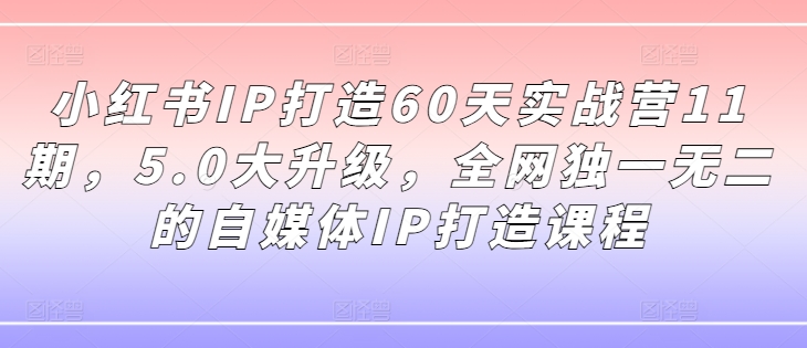 小红书IP打造60天实战营11期，5.0大升级，全网独一无二的自媒体IP打造课程-创纪
